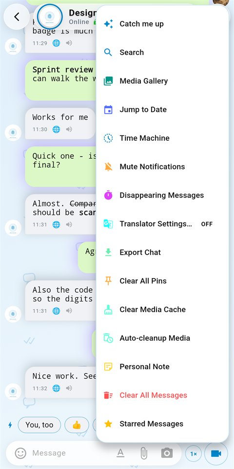 Chat menu showing Catch me up, Time Machine and Disappearing Messages